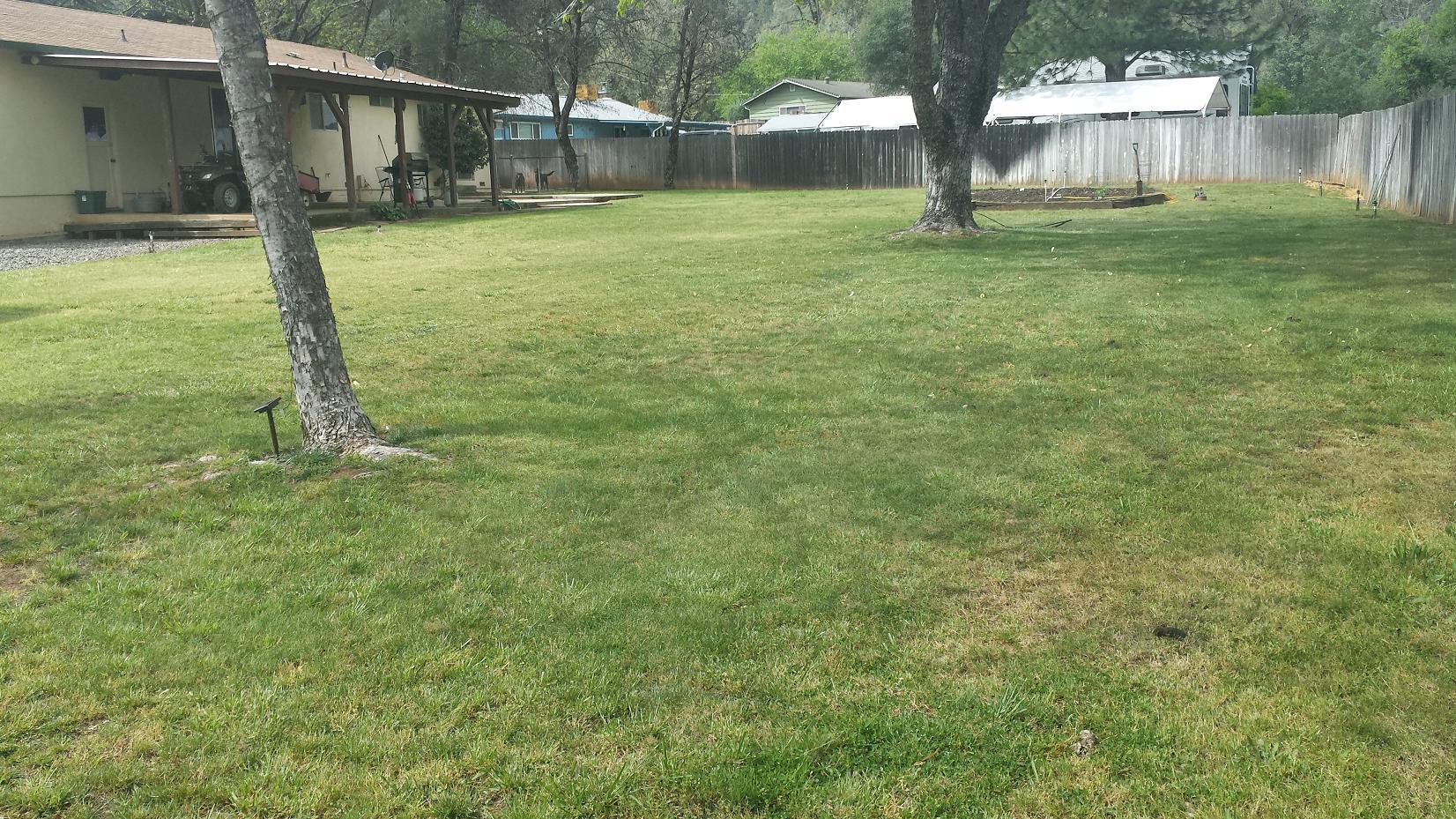 17874 Walker Mine Road Redding, CA 96003 - Photo 6 of 33 Large Fenced Back Yard