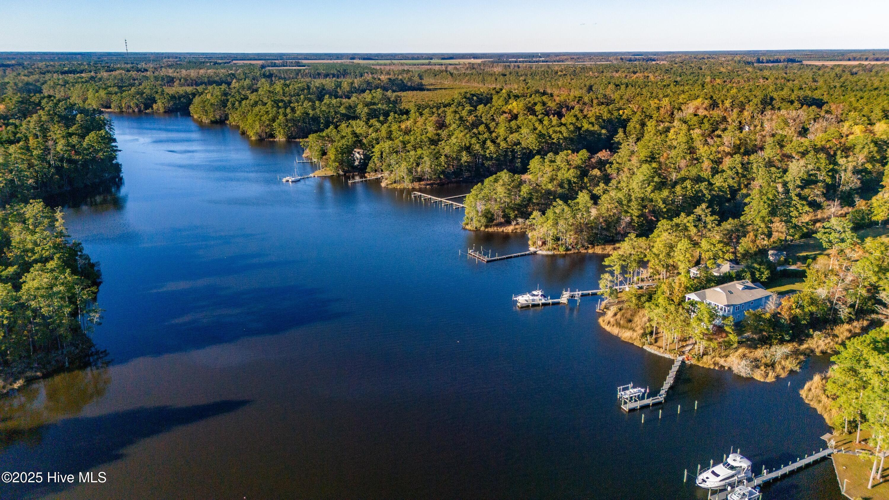 9524 Connie Cove Road Oriental, NC 28571 - Photo 46 of 56 046_Chill Photo Aerials42
