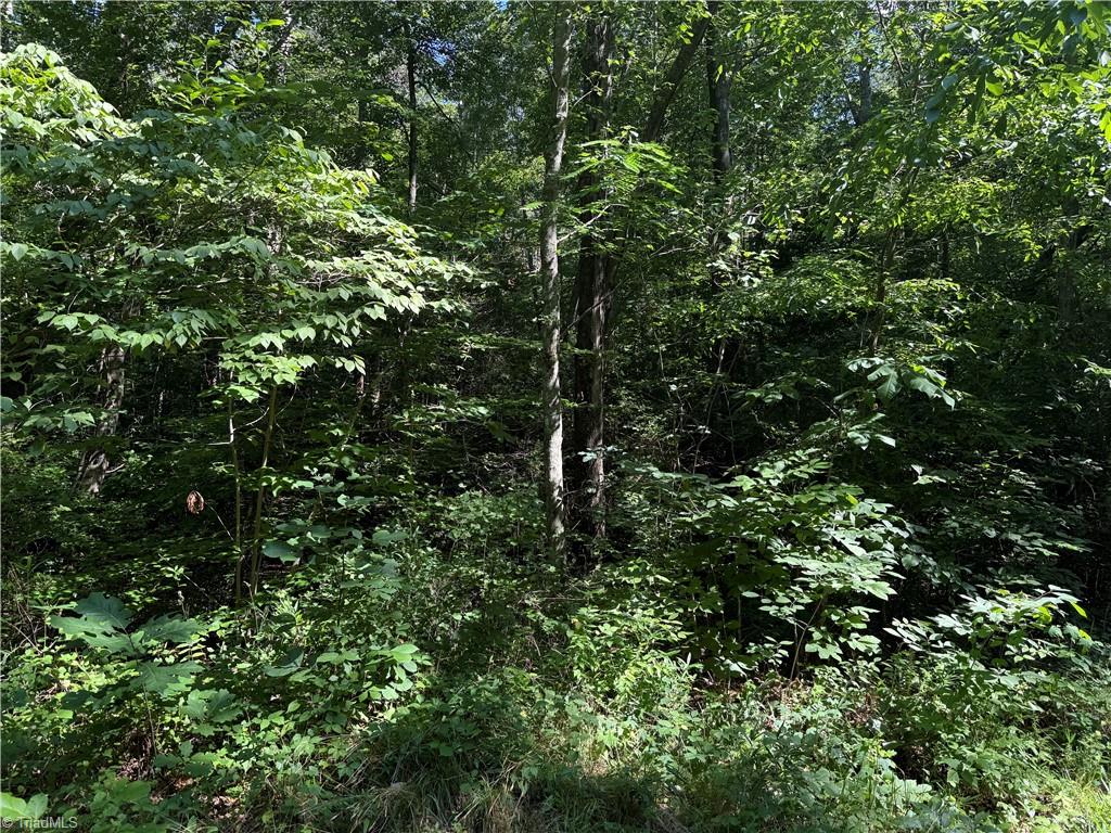 3032 Hauser Road East Bend, NC 27018 - Photo 7 of 9 Gallery Image 7