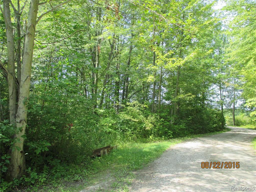 0 McKinley Road East China, MI 48054 - Photo 5 of 17