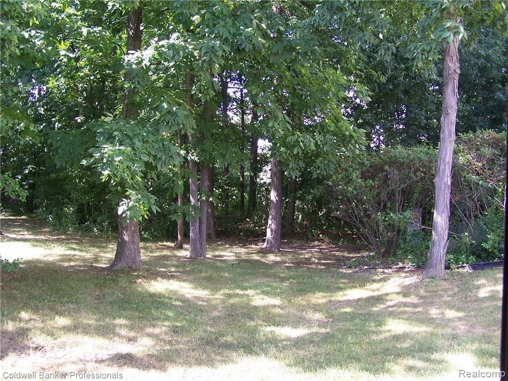 2347 Rochelle Park Drive Rochester, MI 48309 - Photo 18 of 19 BACK YARD