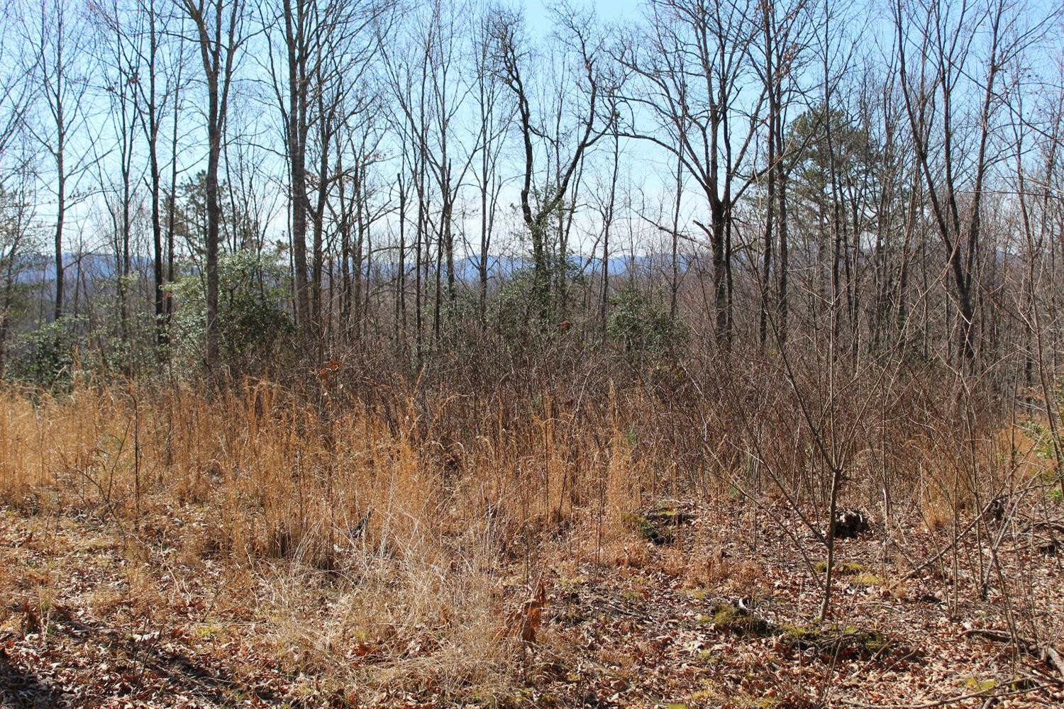 9999 Oak Ridge Church Road Williamsburg, KY 40769 - Photo 19 of 26 Photo 19