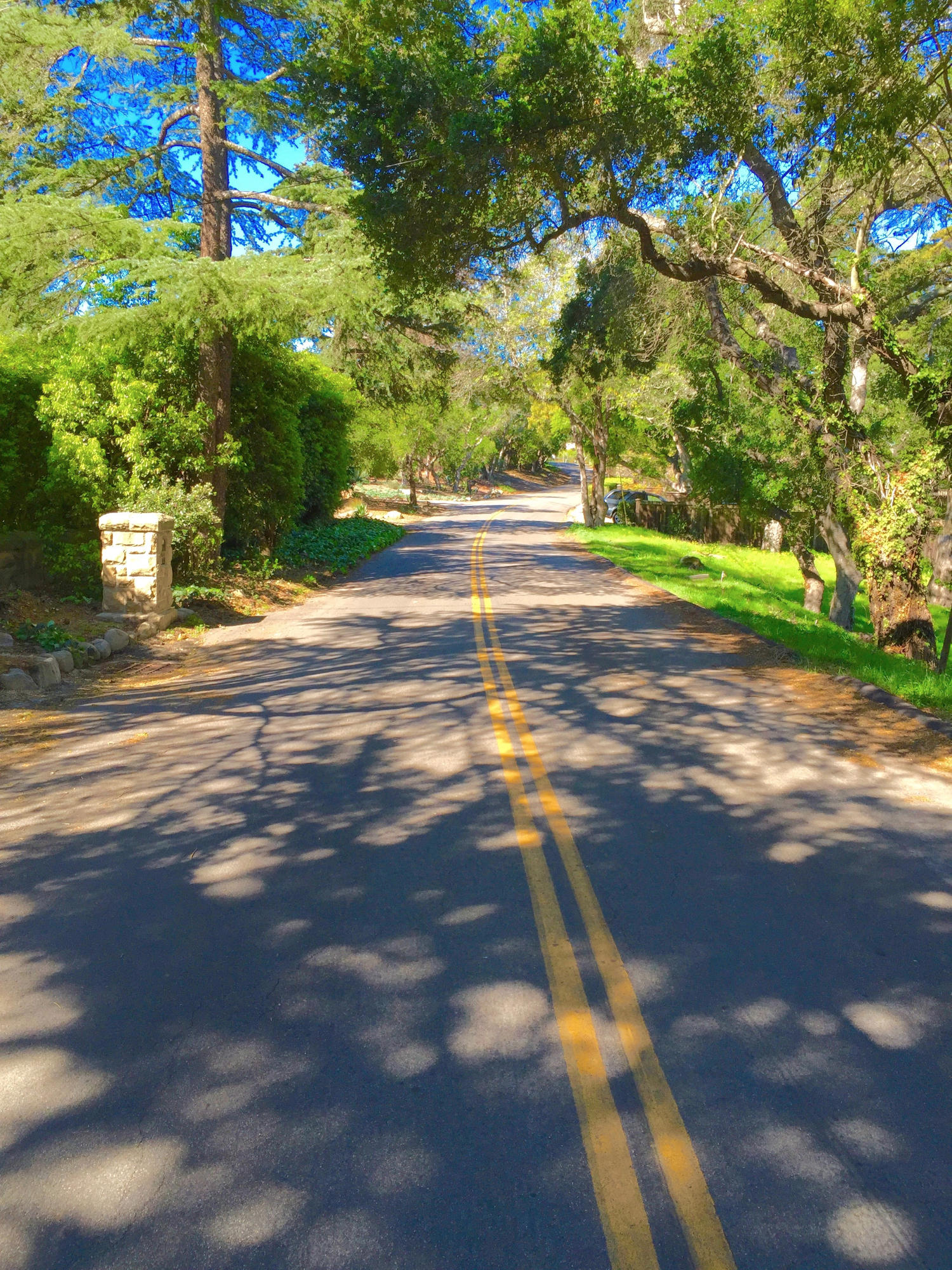 1202 Las Alturas Road Santa Barbara, CA 93103 - Photo 15 of 17 a view of a yard