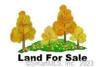 9-1 Tower Hill Road Chaplin, CT 06235 - Photo 1 of 1
