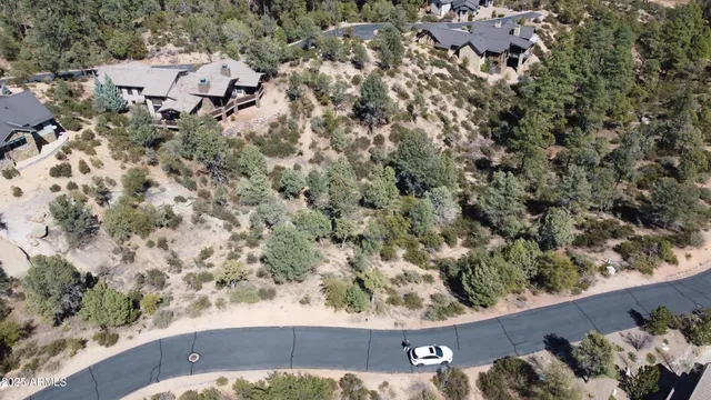 an aerial view of a house with a yard and a large tree