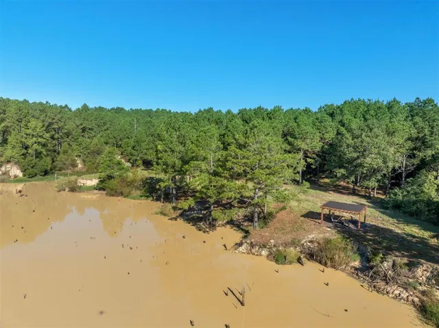 $250,000 | Tbd Parish Line Road, Kinder, LA 70648