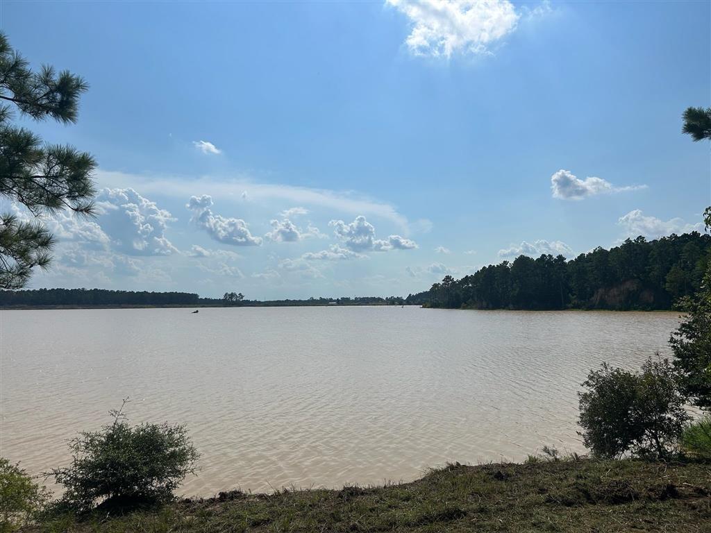 Tbd Parish Line Road Kinder, LA 70648 - Photo 1 of 6