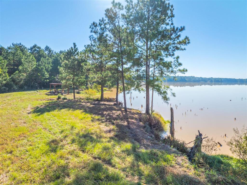 Tbd Parish Line Road Kinder, LA 70648 - Photo 11 of 12