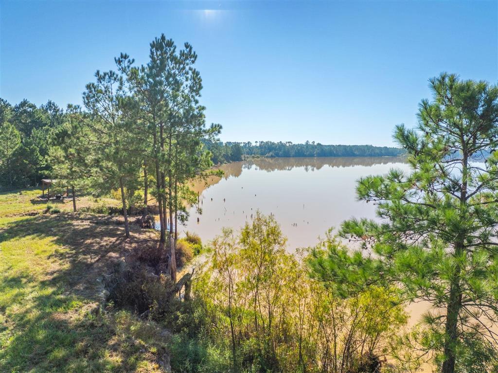 Tbd Parish Line Road Kinder, LA 70648 - Photo 12 of 12