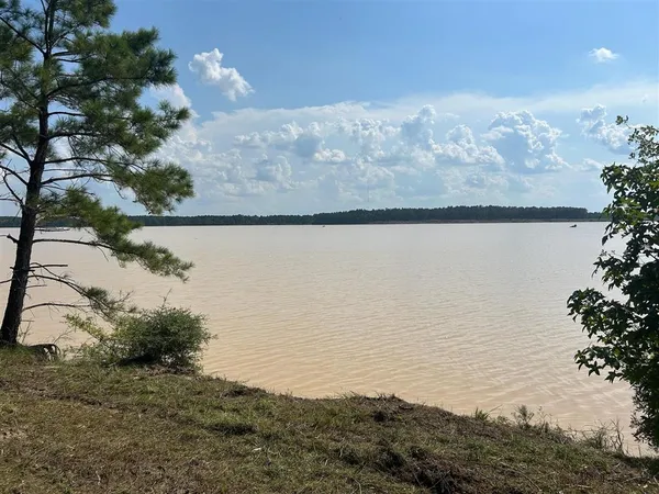 $225,000 | Tbd Parish Line Road, Kinder, LA 70648