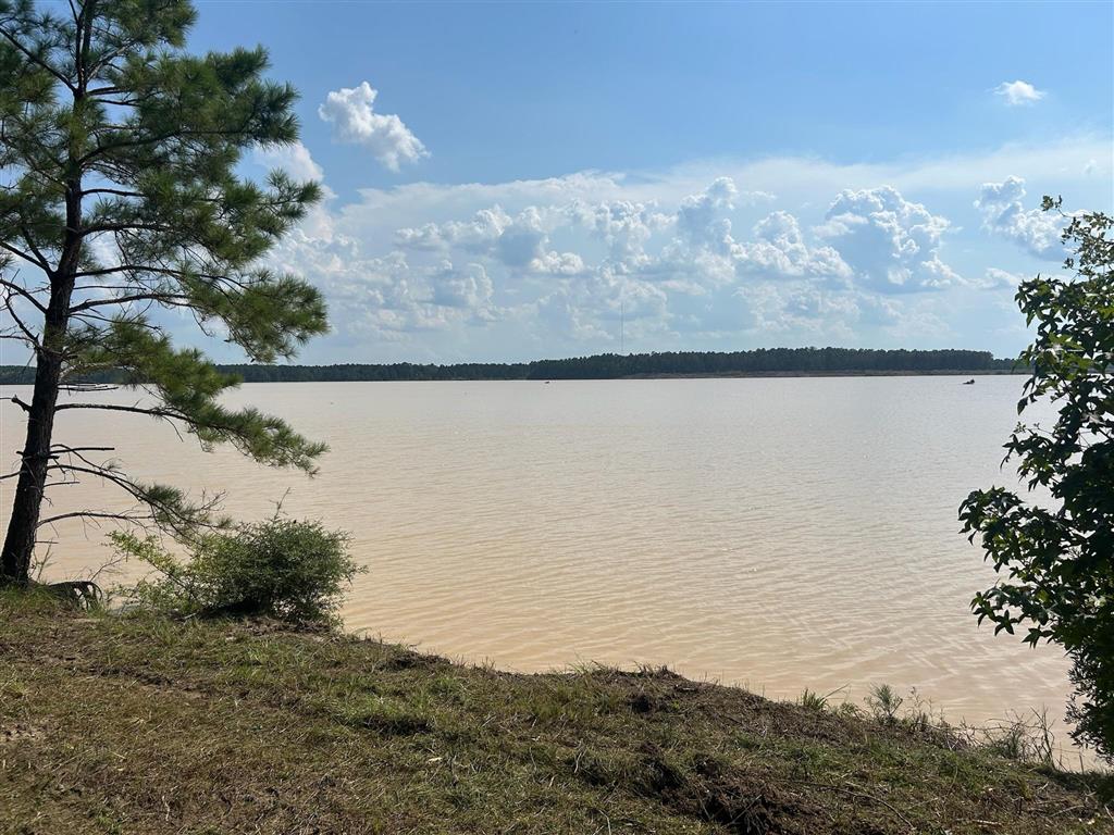 Tbd Parish Line Road Kinder, LA 70648 - Photo 2 of 6