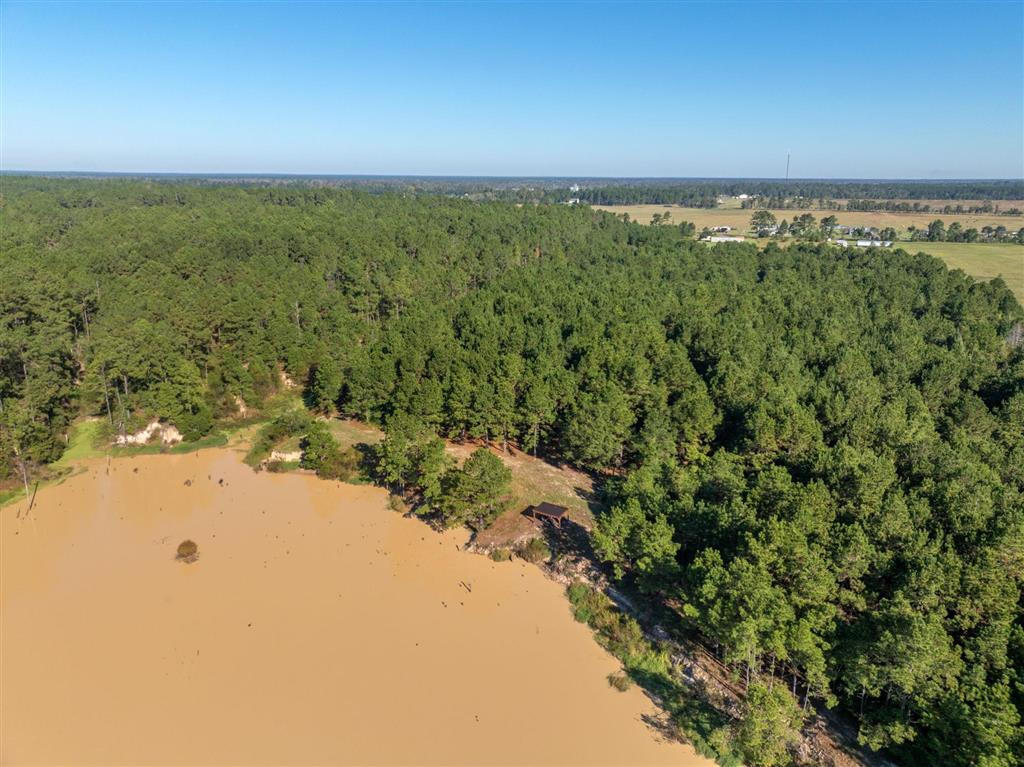 Tbd Parish Line Road Kinder, LA 70648 - Photo 2 of 12