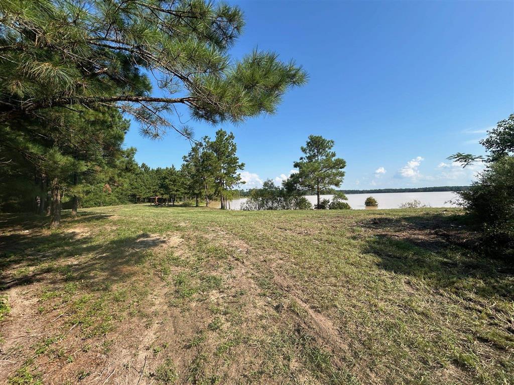 Tbd Parish Line Road Kinder, LA 70648 - Photo 3 of 6