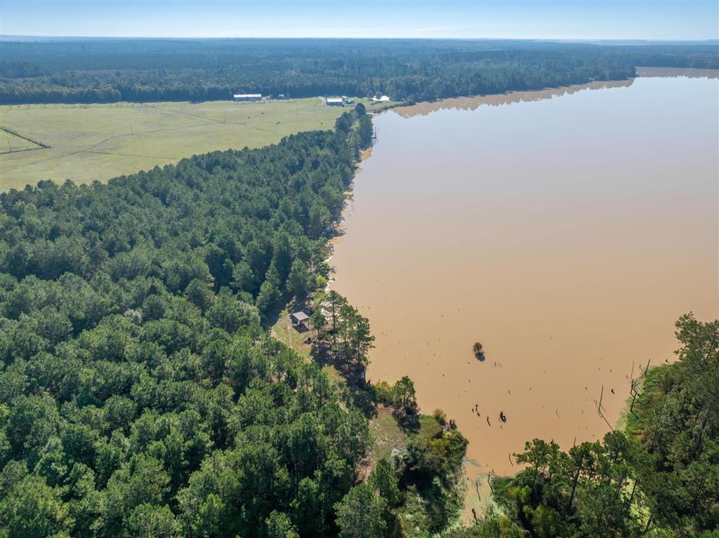 Tbd Parish Line Road Kinder, LA 70648 - Photo 4 of 12