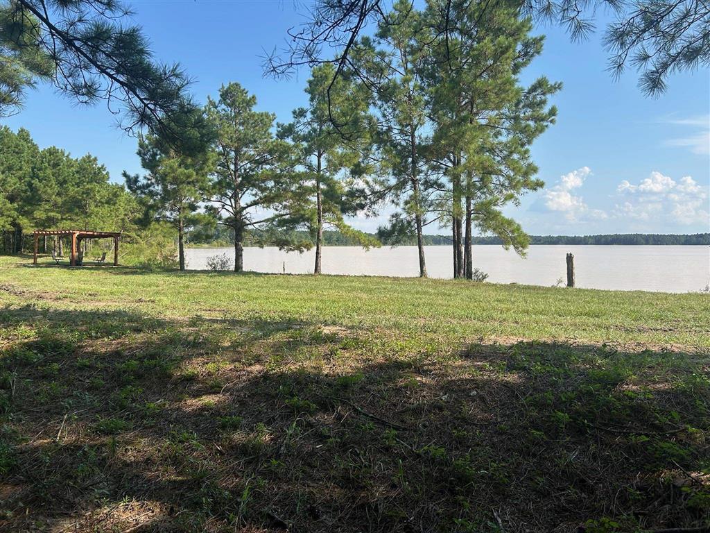 Tbd Parish Line Road Kinder, LA 70648 - Photo 4 of 6