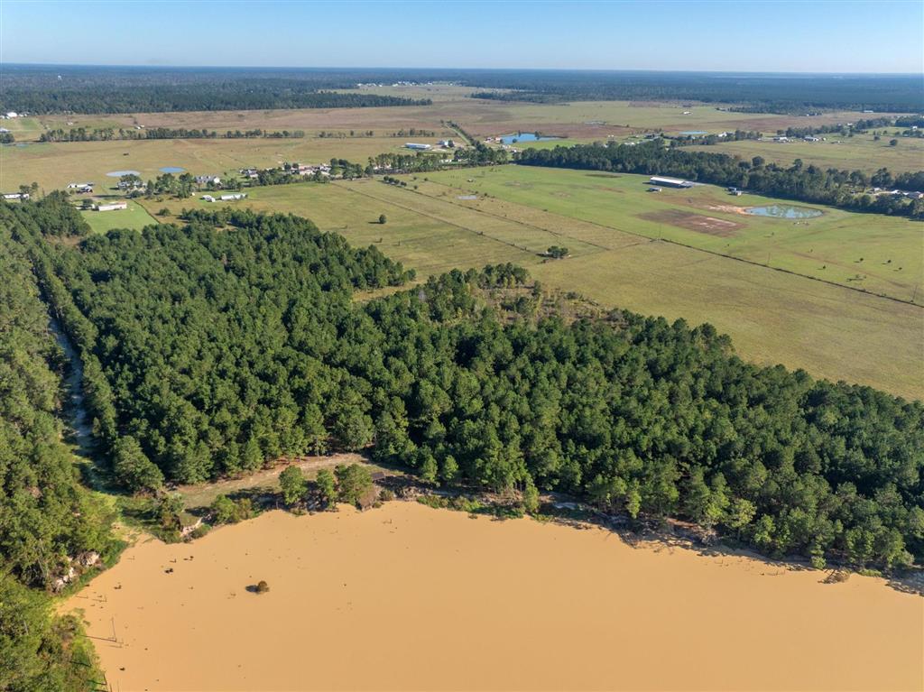 Tbd Parish Line Road Kinder, LA 70648 - Photo 5 of 12