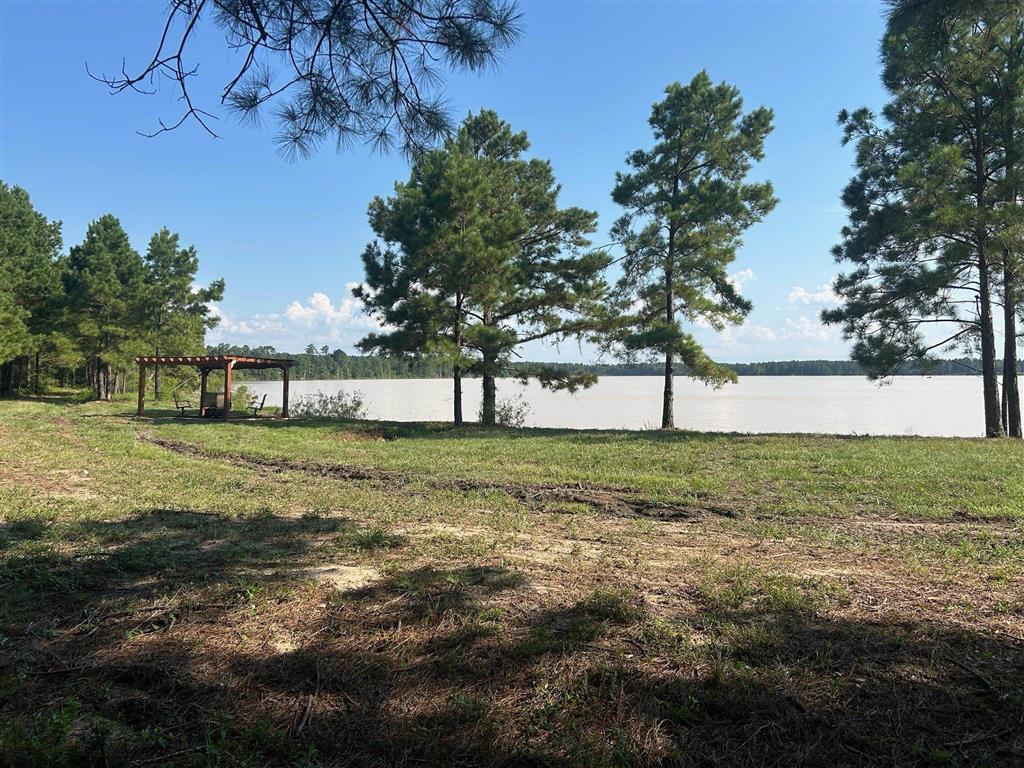 Tbd Parish Line Road Kinder, LA 70648 - Photo 6 of 6