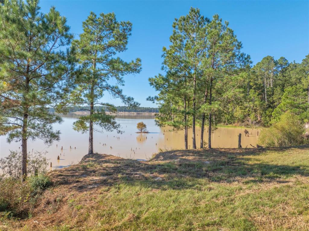 Tbd Parish Line Road Kinder, LA 70648 - Photo 9 of 12