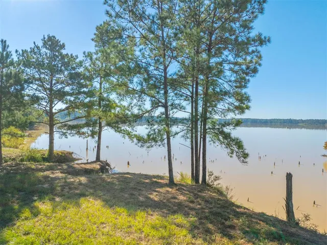 $250,000 | Tbd Parish Line Road, Kinder, LA 70648