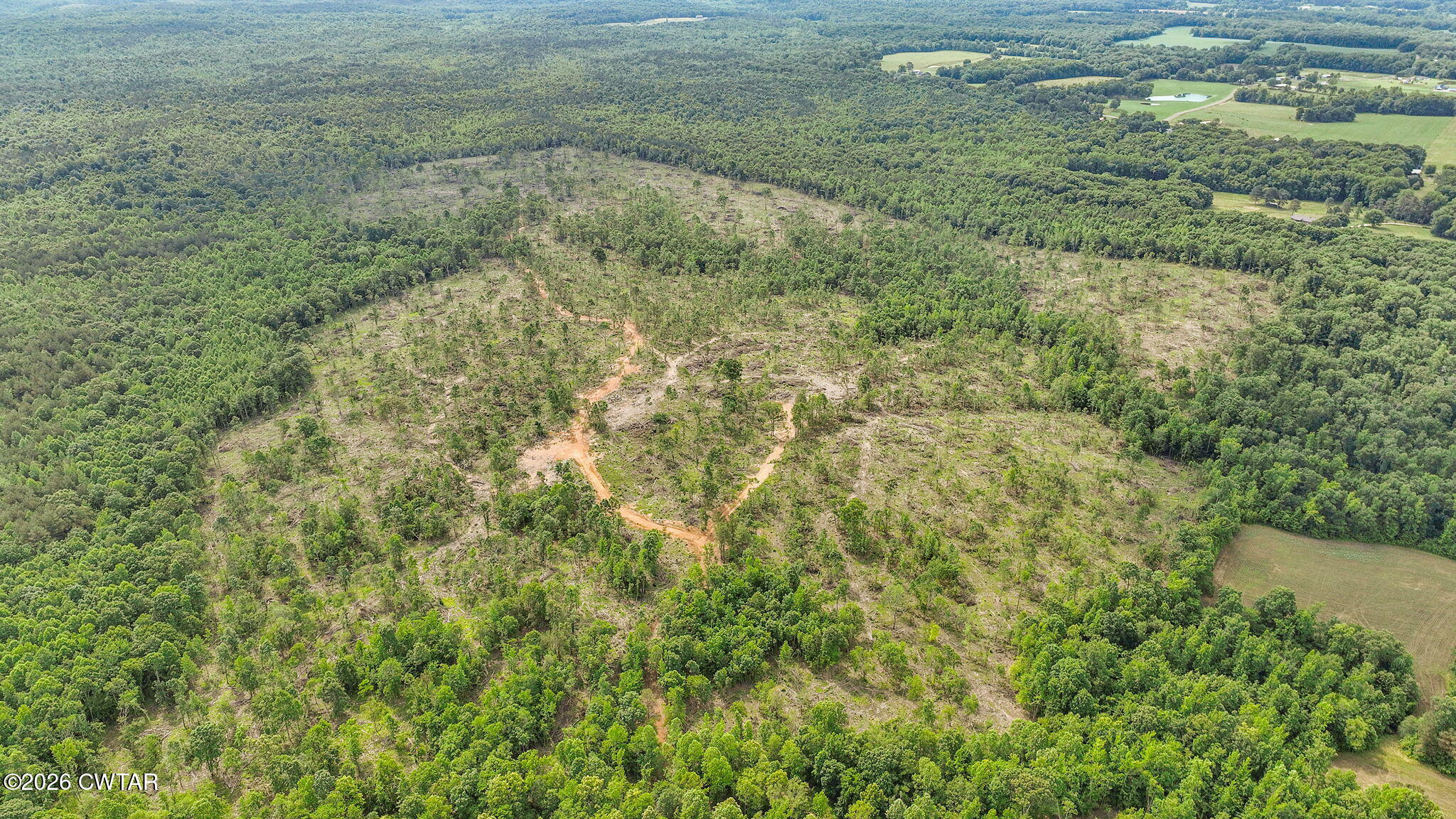 0 Wynn Road Big Sandy, TN 38221 - Photo 3 of 28 1-web-or-mls-DJI_0057