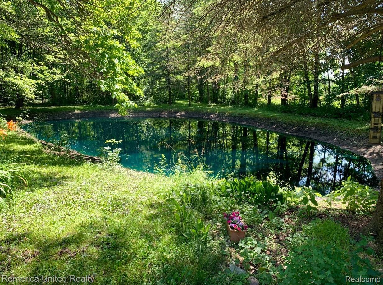 3939 County Line Road Casco, MI 48064 - Photo 9 of 38 Pond (1).JPG