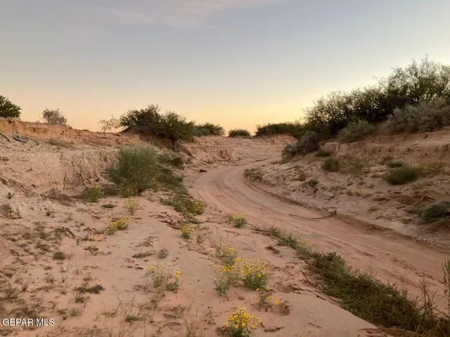 a view of a dry yard with wooden fence