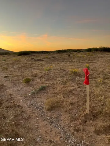 a view of yard with ocean view