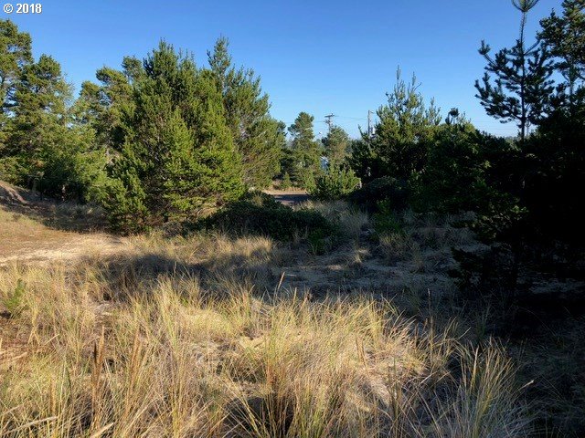 5 Eden Lane Florence, OR 97439 - Photo 11 of 23 a view of a lake view