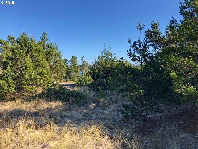 5 Eden Lane Florence, OR 97439 - Photo 12 of 23 a view of a lake view