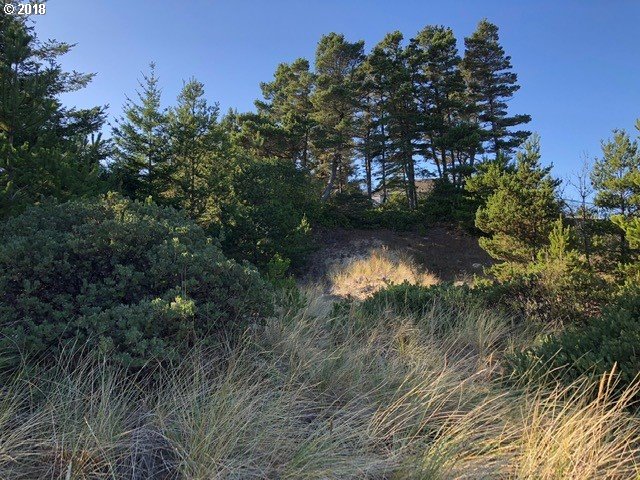 5 Eden Lane Florence, OR 97439 - Photo 13 of 23 a view of a lake in between two of trees