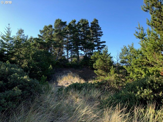 5 Eden Lane Florence, OR 97439 - Photo 17 of 23 a view of a lake in a forest