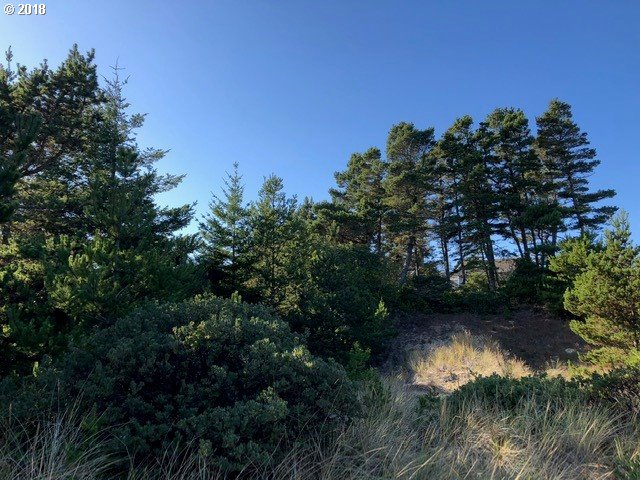 5 Eden Lane Florence, OR 97439 - Photo 18 of 23 a backyard of a house with lots of green space