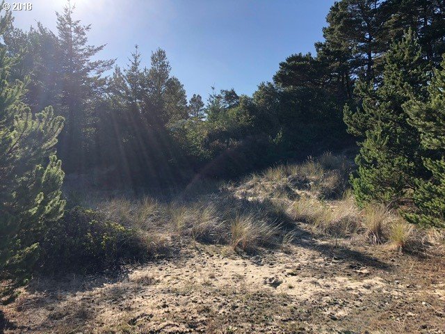 5 Eden Lane Florence, OR 97439 - Photo 19 of 23 a view of a yard with a tree