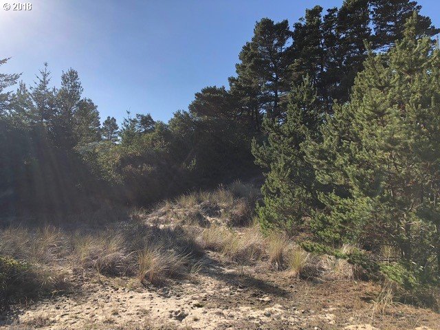 5 Eden Lane Florence, OR 97439 - Photo 20 of 23 a view of a yard with a tree