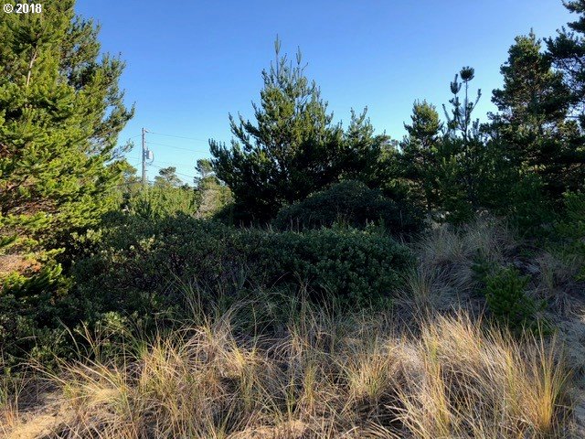 5 Eden Lane Florence, OR 97439 - Photo 6 of 23 a view of a yard