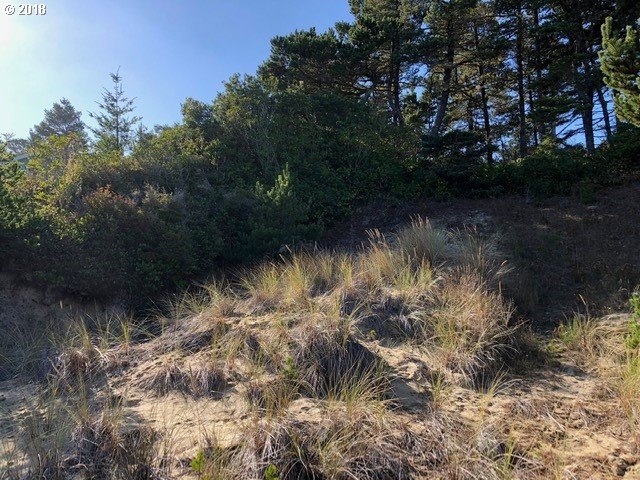 5 Eden Lane Florence, OR 97439 - Photo 7 of 23 a view of a lake in between two of trees