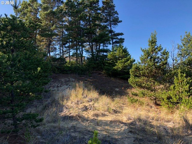 5 Eden Lane Florence, OR 97439 - Photo 8 of 23 a view of backyard with green space