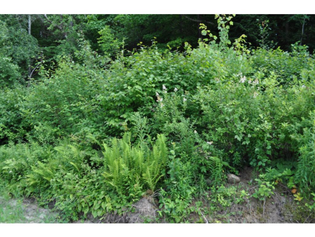 0 Stewart Road Danbury, NH 03230 - Photo 1 of 2 Gallery Image 1