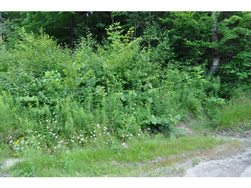 0 Stewart Road Danbury, NH 03230 - Photo 2 of 2 Gallery Image 2