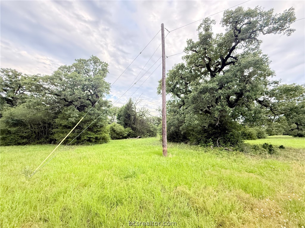 Tbd Wannabe Road Bryan, TX 77808 - Photo 10 of 25 a backyard of a house with lots of green space