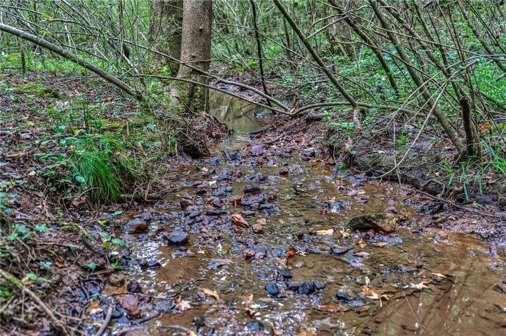 0 Borrow Pit Road Douglasville, GA 30134 - Photo 5 of 10 a view of a forest with a tree