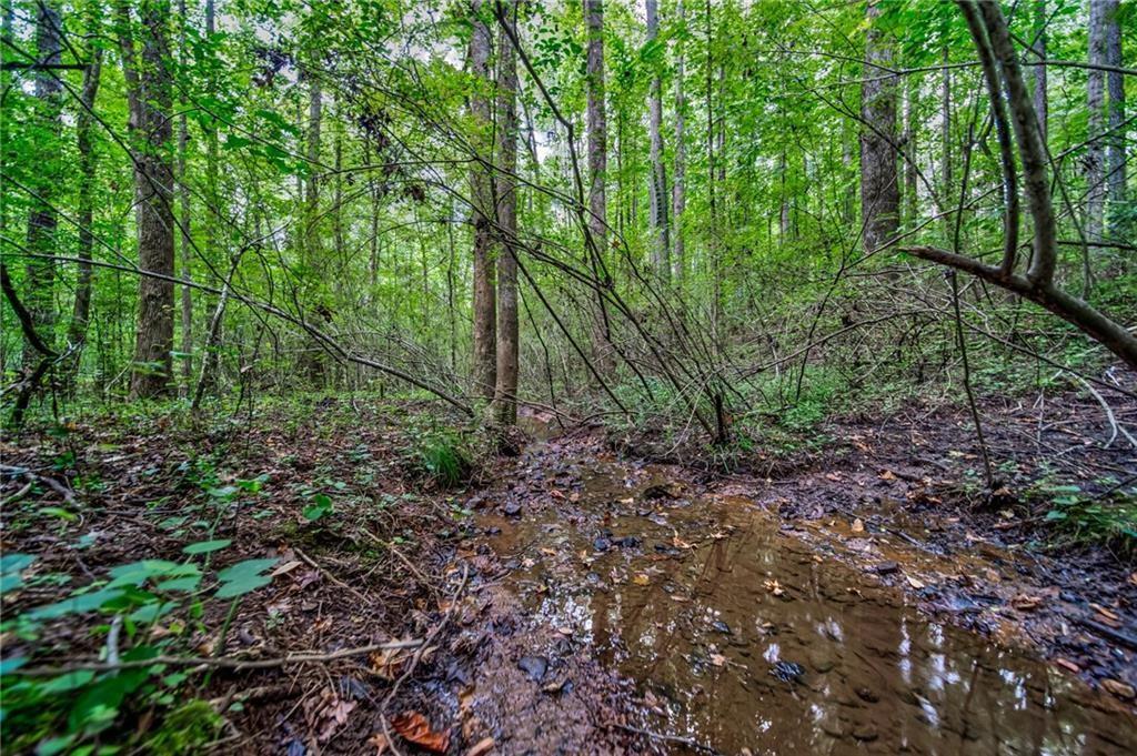 0 Borrow Pit Road Douglasville, GA 30134 - Photo 6 of 10 a view of a forest that has large trees