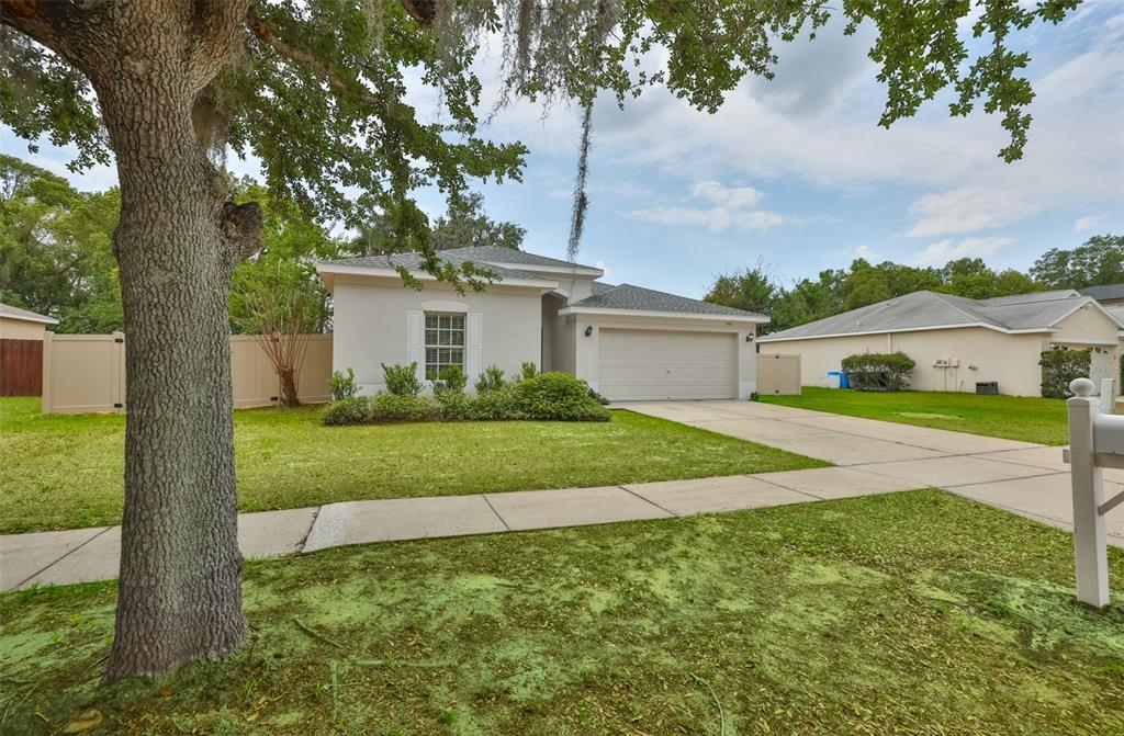 708 Coade Stone Drive Seffner, FL 33584 - Photo 38 of 48 a view of a house with a big yard plants and large trees
