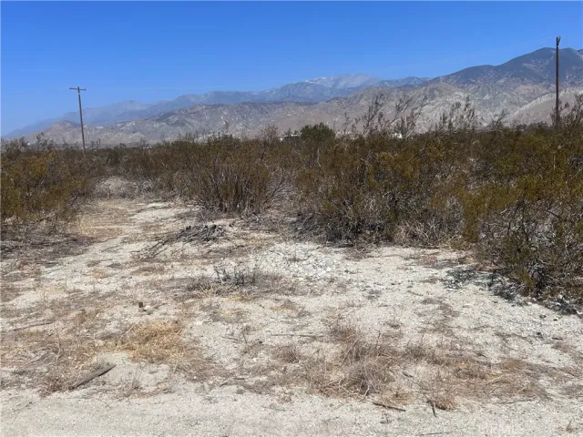 a view of a yard with a mountain
