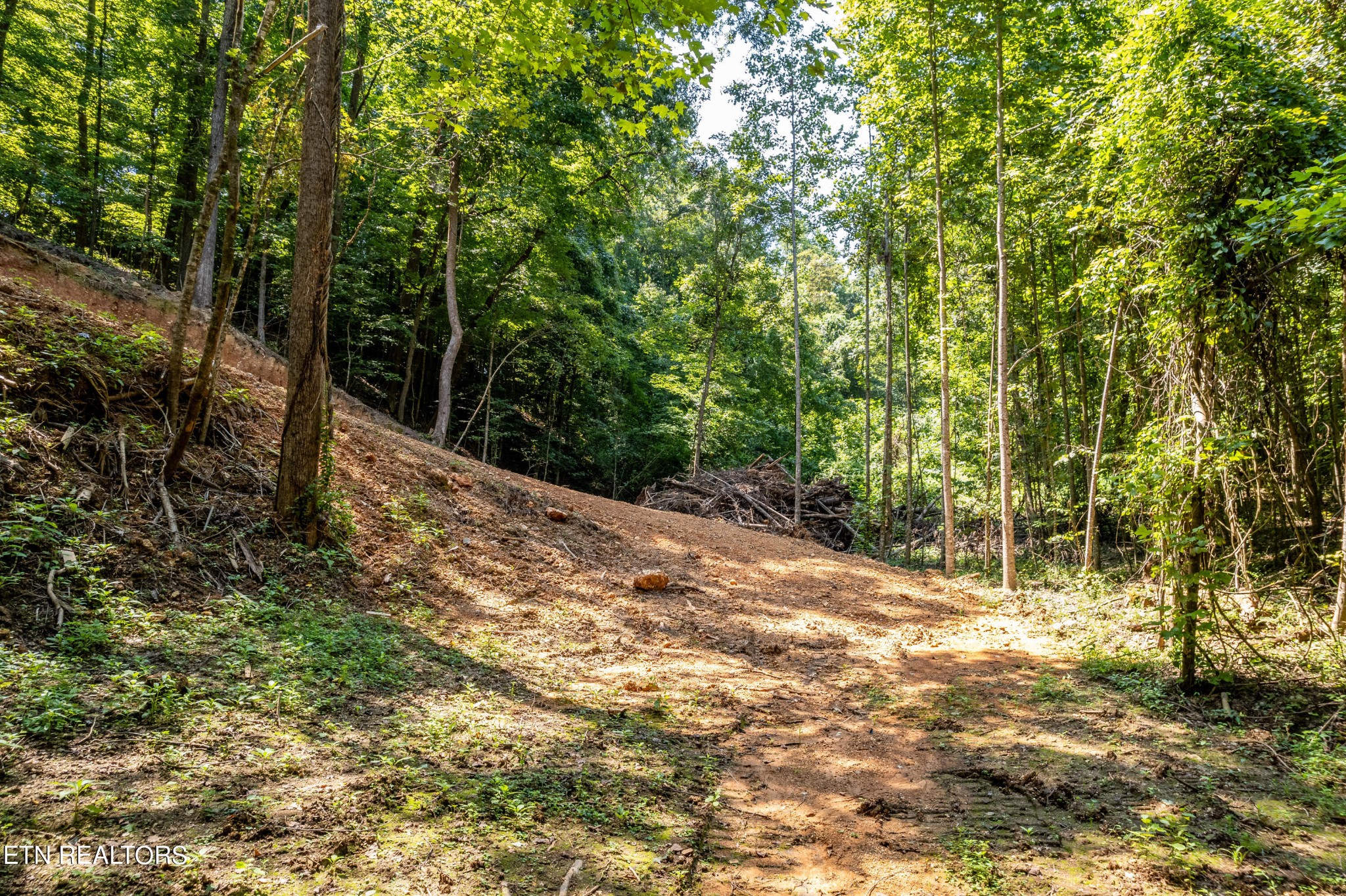 1932 Stony Point Road Knoxville, TN 37914 - Photo 54 of 60 Gallery Image 54