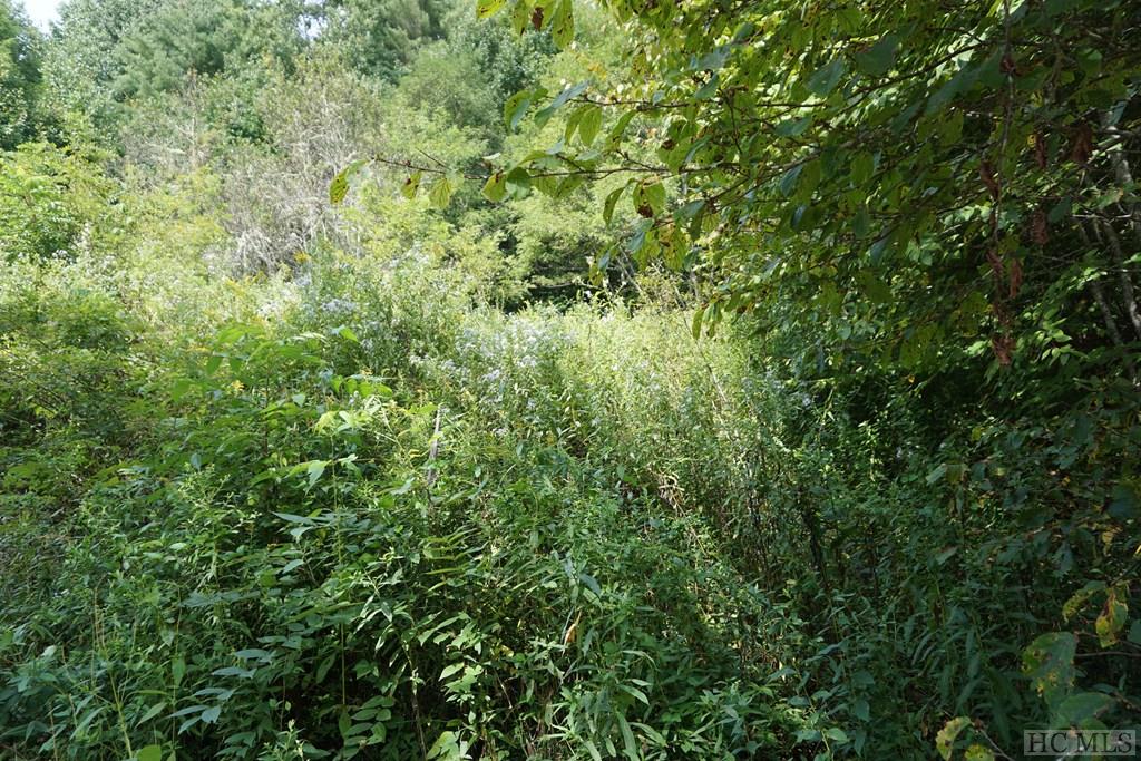 0 Turtle Pond Road Highlands, NC 28741 - Photo 3 of 3 Gallery Image 3