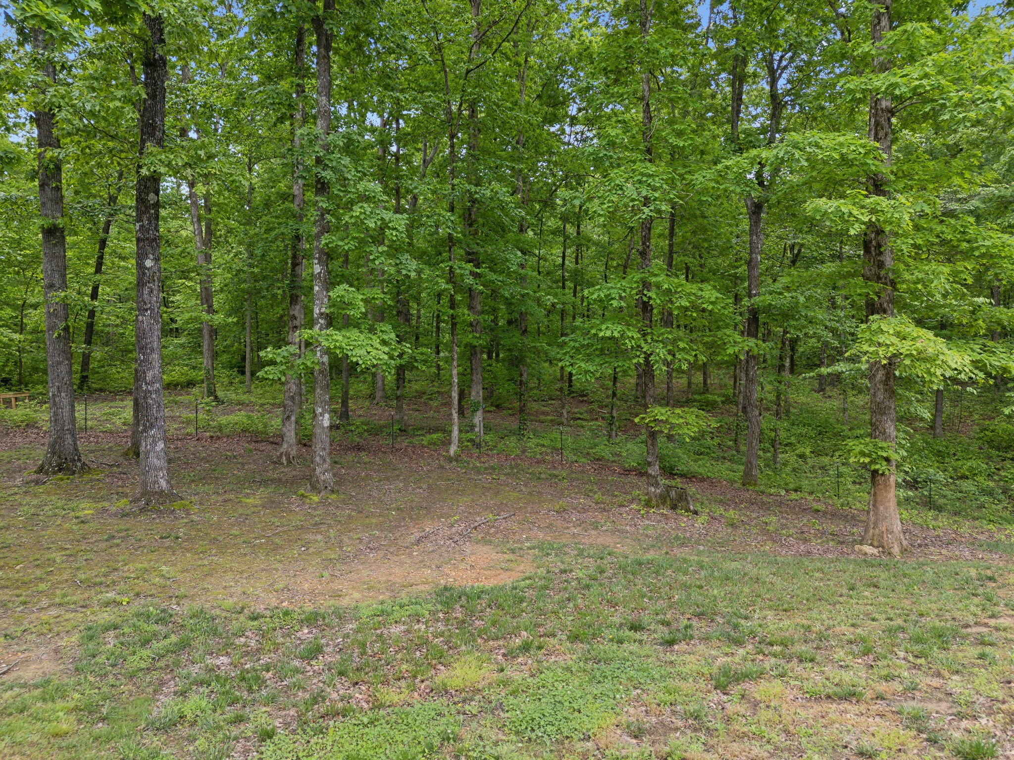 6033 Vesper Way Franklin, TN 37064 - Photo 73 of 82