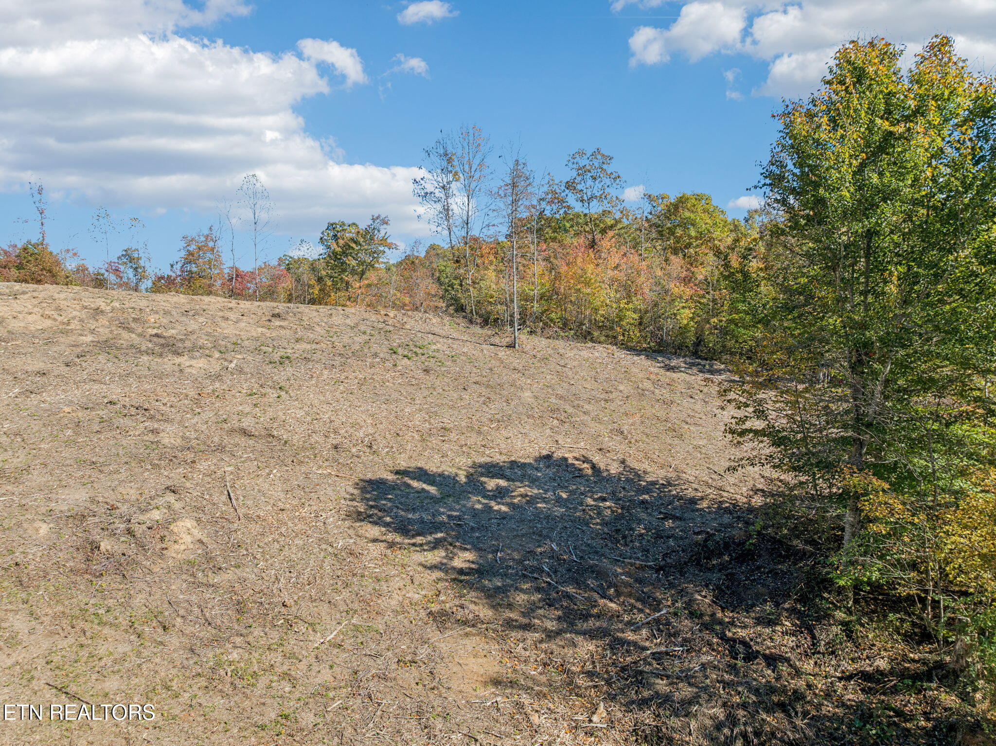 Sheep Ranch Road Robbins, TN 37852 - Photo 11 of 22 9-Sheep Ranch Rd - 15 009
