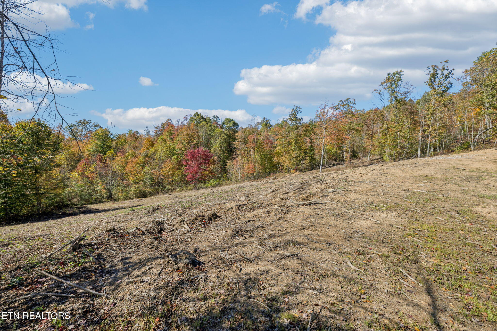 Sheep Ranch Road Robbins, TN 37852 - Photo 5 of 22 3-Sheep Ranch Rd - 15 003