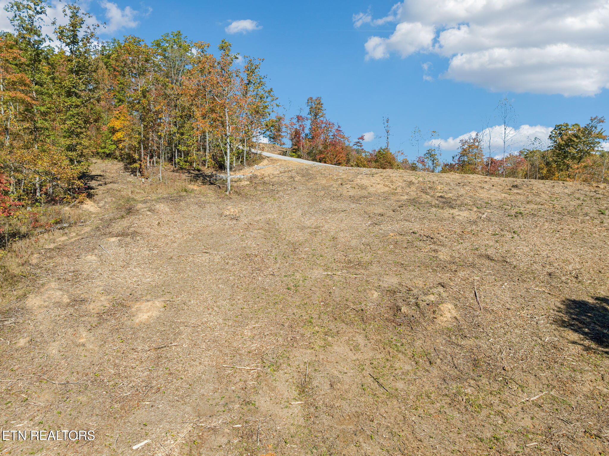 Sheep Ranch Road Robbins, TN 37852 - Photo 10 of 22 8-Sheep Ranch Rd - 15 008